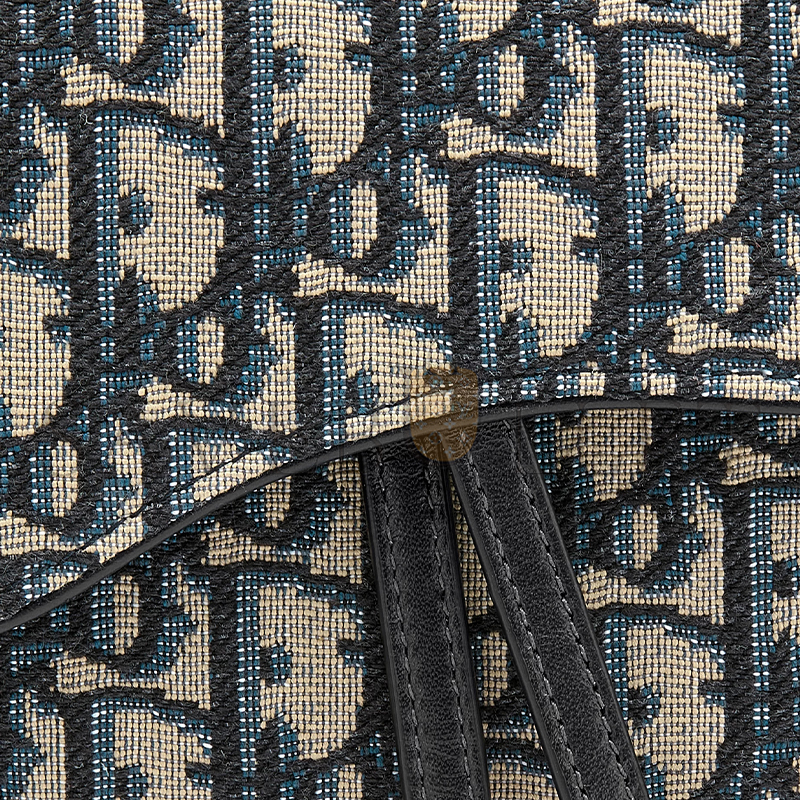 DIOR BLUE OBLIQUE JACQUARD S5614CTZQ_M928 (19cm*9.5cm*3cm)